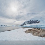 Antarktis - 76.jpg