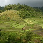 Bali 200883.jpg