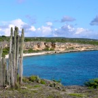 Bonaire 200576.jpg