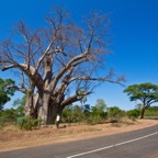 BotswanaSimbabwe - 146.jpg