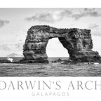 Galapagos 2007_2012028.jpg
