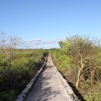 Galapagos 2007_2012093.jpg