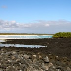 Galapagos 2007_2012096.jpg