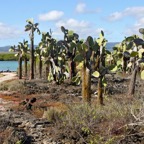 Galapagos 2007_2012098.jpg