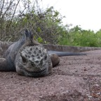 Galapagos 2007_2012125.jpg