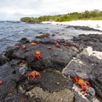 Galapagos 2007_2012144.jpg