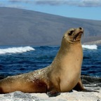 Galapagos 2007_2012162.jpg