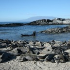 Galapagos 2007_2012163.jpg