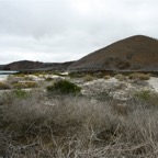 Galapagos 2007_2012174.jpg