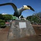 Galapagos 2007_2012211.jpg