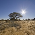 Namibia012.jpg