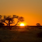 Namibia030.jpg