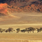 Namibia079.jpg