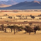 Namibia084.jpg