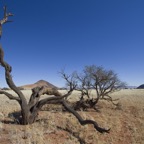 Namibia087.jpg