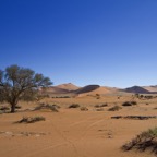 Namibia096.jpg
