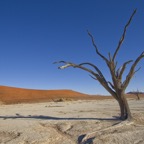 Namibia100.jpg