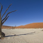Namibia101.jpg
