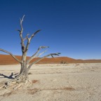 Namibia102.jpg