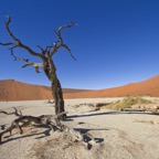 Namibia104.jpg