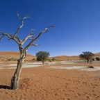 Namibia106.jpg