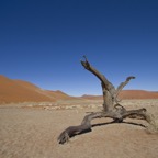 Namibia111.jpg