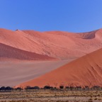 Namibia115.jpg