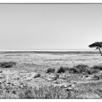 Namibia224.jpg