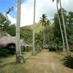 Französisch Polynesien 2008011.jpg