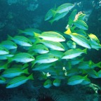 Seychellen 200212.jpg