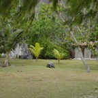 Seychellen 200222.jpg