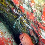 Seychellen 200238.jpg
