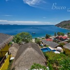Anilao_Apo - 1.jpg