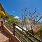Anilao_Apo - 10.jpg