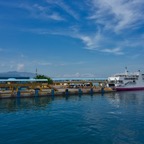 Anilao_Apo - 156.jpg