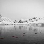 Antarktis - 66.jpg