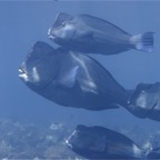 Bali 200817.jpg