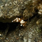 Bali 200822.jpg