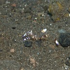 Bali 200825.jpg