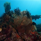 Bali 200827.jpg