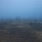 Bali 200828.jpg