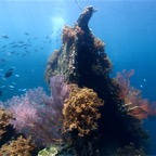 Bali 200846.jpg