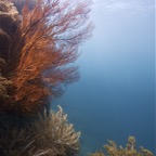 Bali 200847.jpg