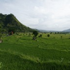 Bali 200853.jpg
