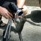Bali 200859.jpg