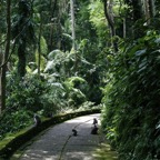 Bali 200863.jpg