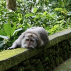 Bali 200864.jpg