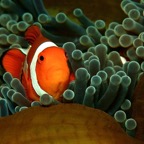 Bali 200877.jpg