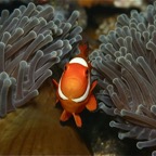 Bali 200879.jpg
