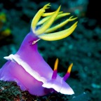 Bali 200881.jpg